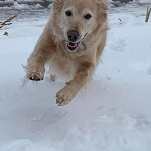 Meet your Posher, Lori